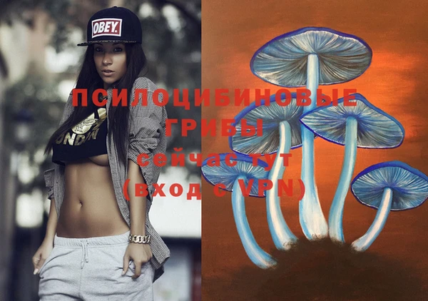 MDMA Premium VHQ Медвежьегорск