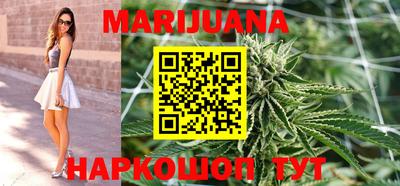 Альфа ПВП Бийск