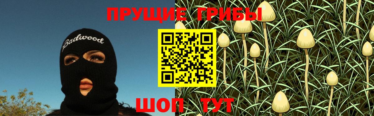 Галлюциногенные грибы GOLDEN TEACHER Елизово