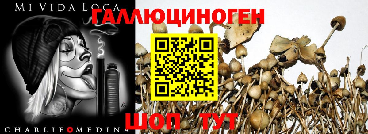 Галлюциногенные грибы Magic Shrooms  Псилоцибиновые грибы мухоморы  Елизово  Вход с VPN 
