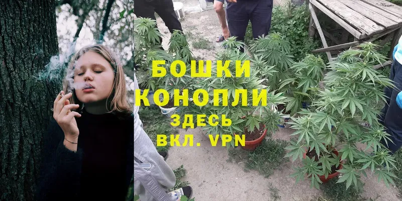 маркетплейс как зайти  Елизово  Канабис OG Kush 